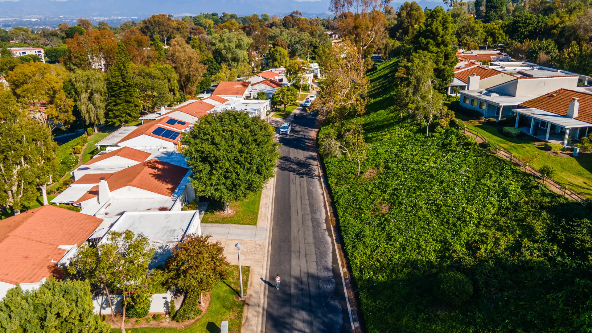 Third Mutual Photo 10